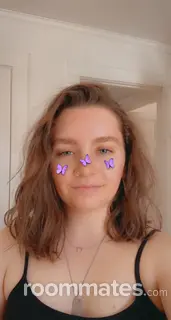 Roommate looking Rochester, NY, $700