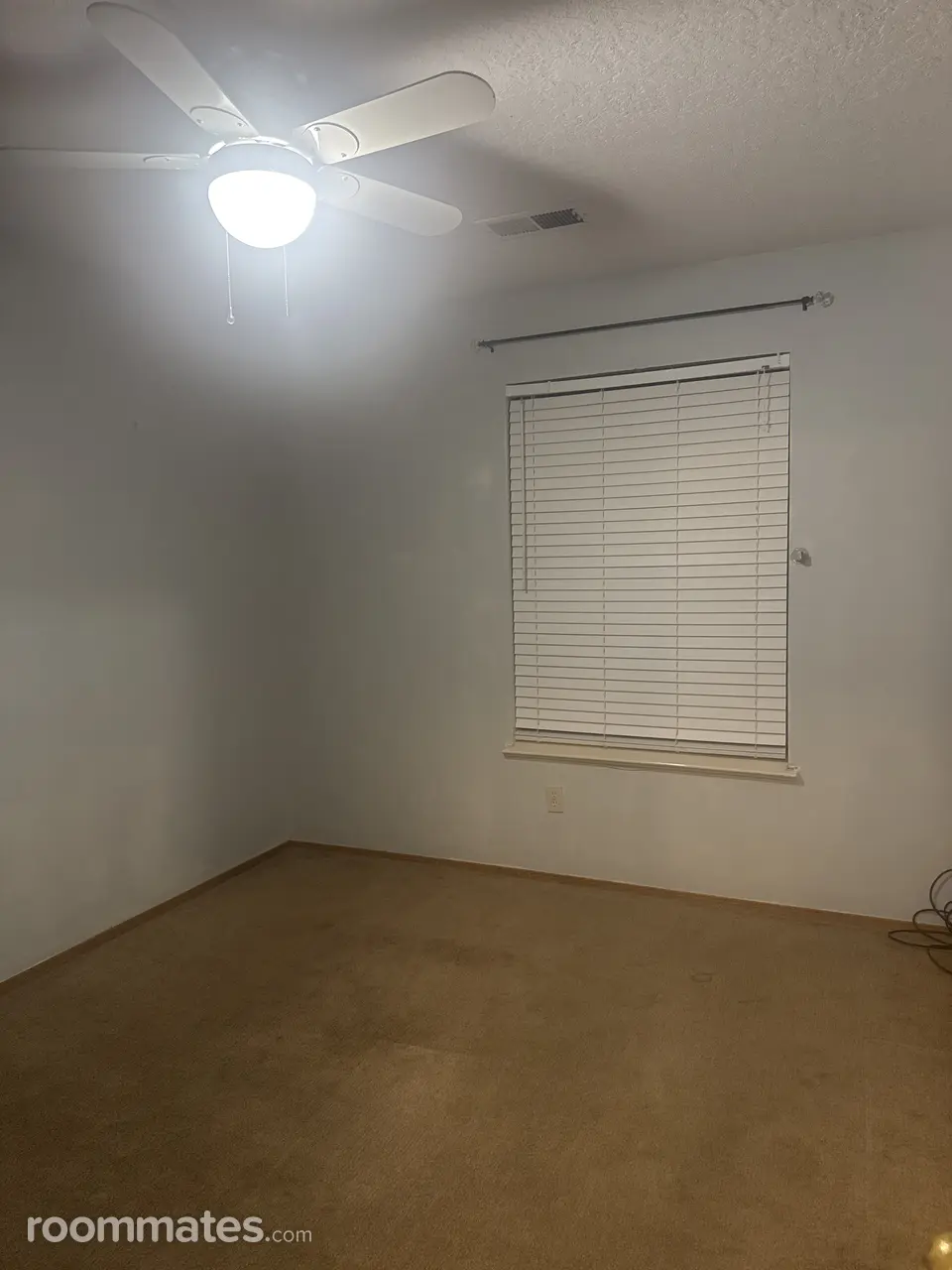 Profile photo 1 of 19