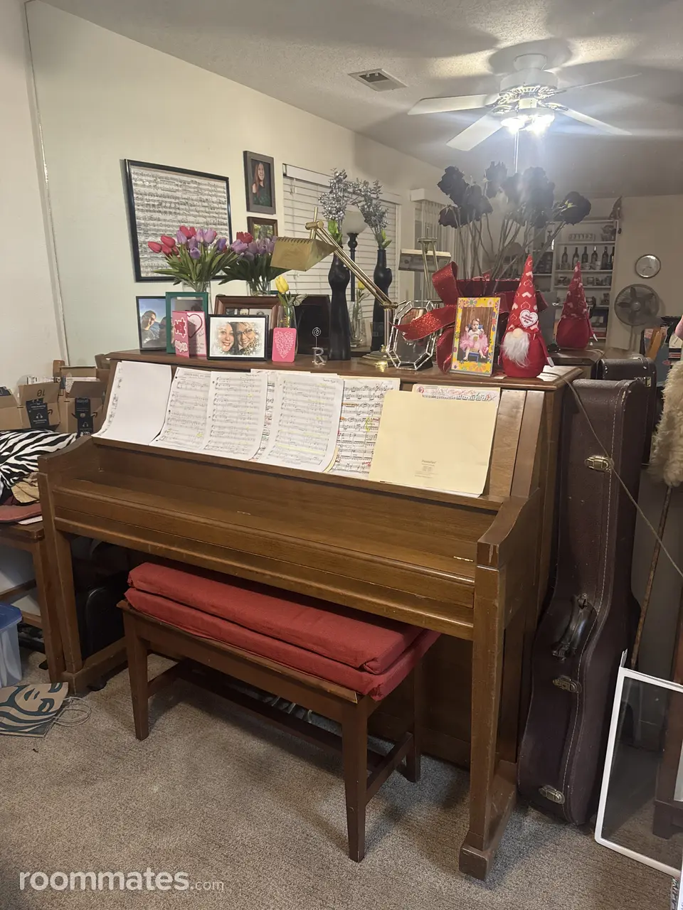 Profile photo 18 of 19