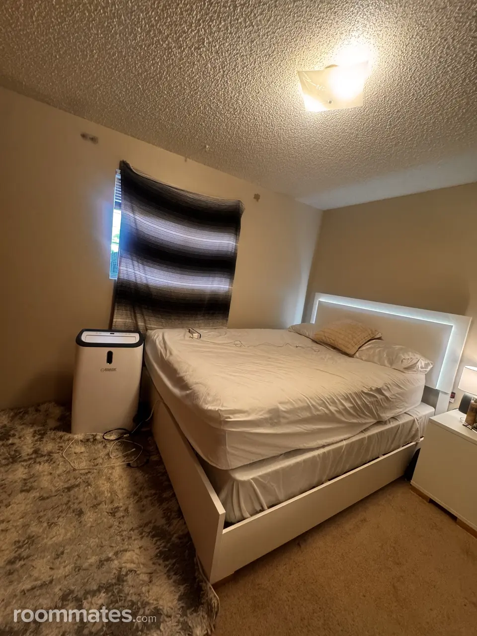 Profile photo 5 of 11