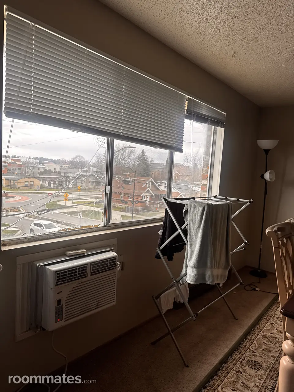 Profile photo 7 of 11