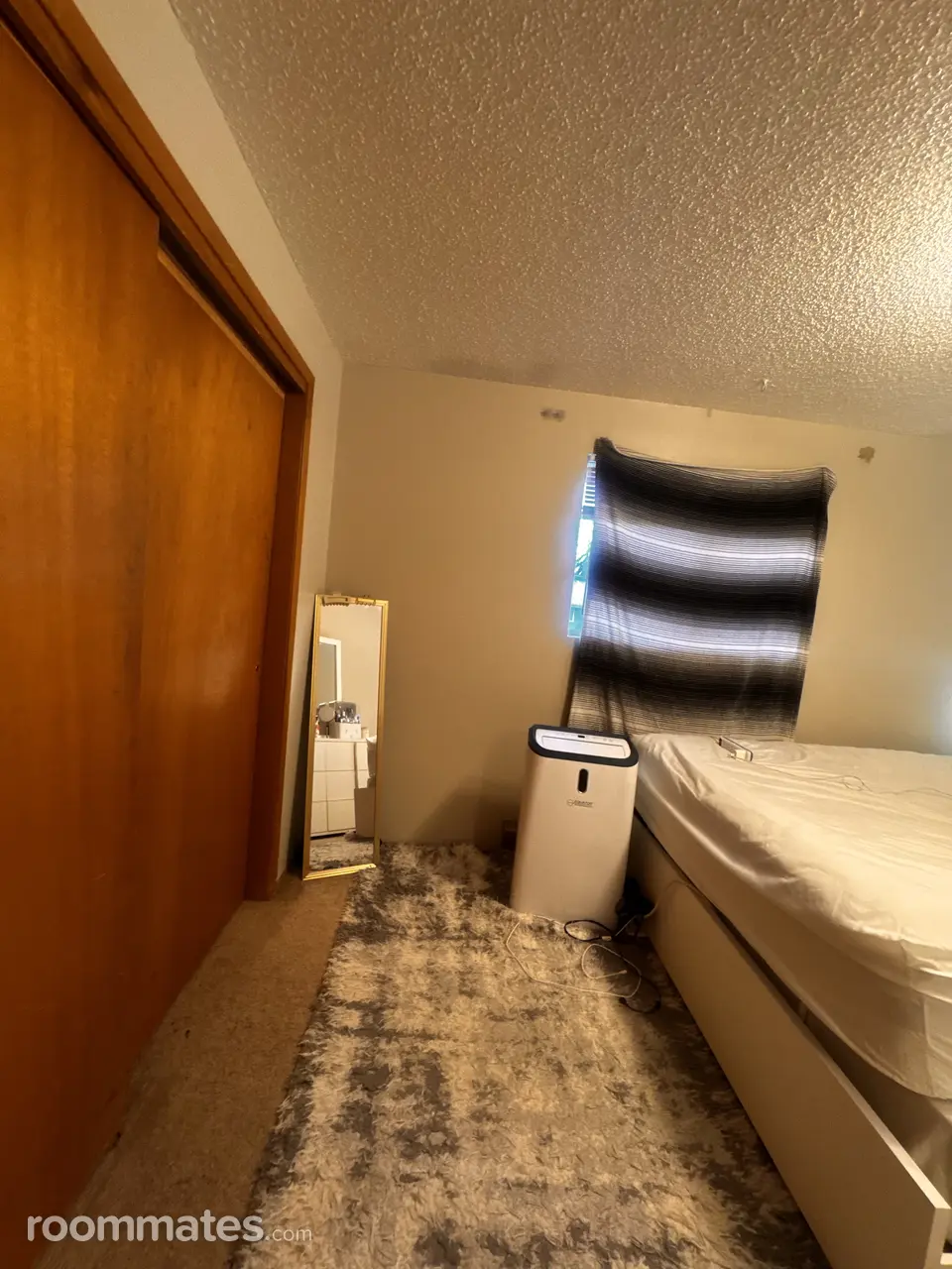 Profile photo 4 of 11