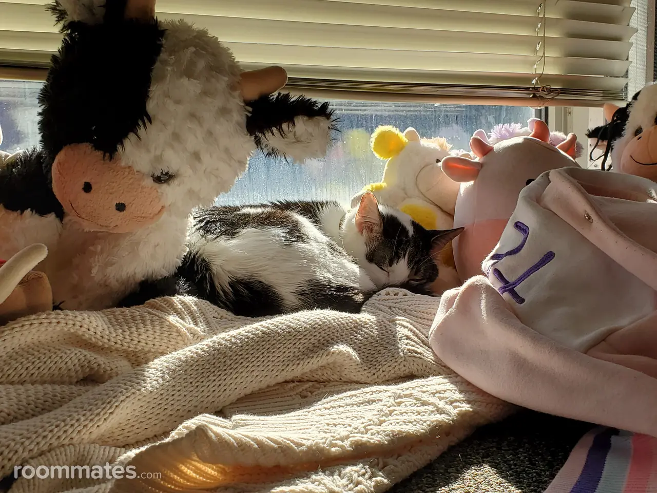 Profile photo 3 of 3