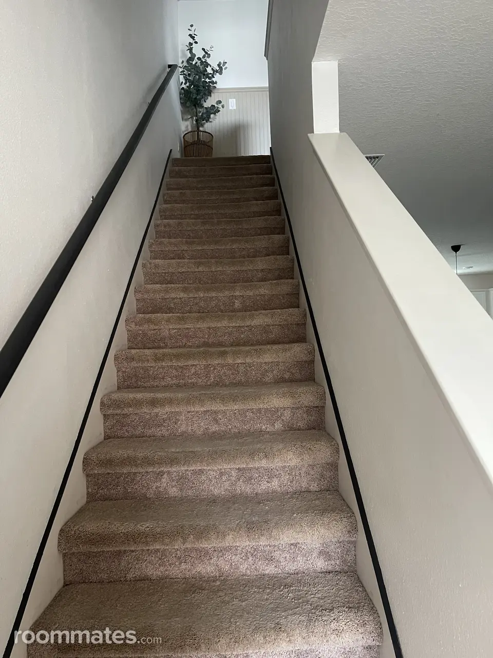 Profile photo 7 of 10