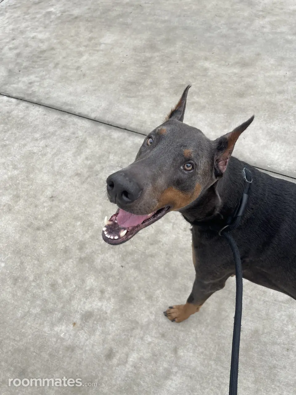 Profile photo 10 of 10