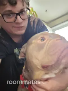 Roommate looking Ann Arbor, MI, $1000