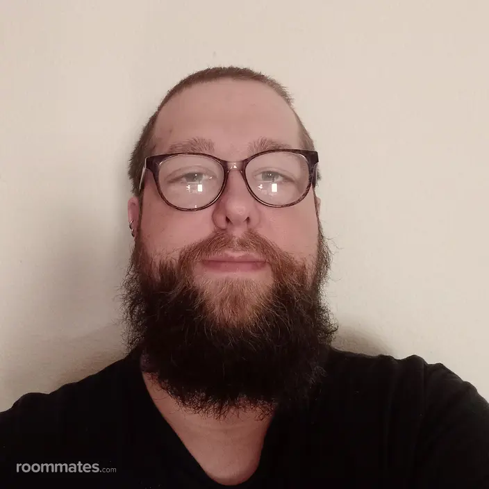 Roommate looking Indianapolis, IN, $800
