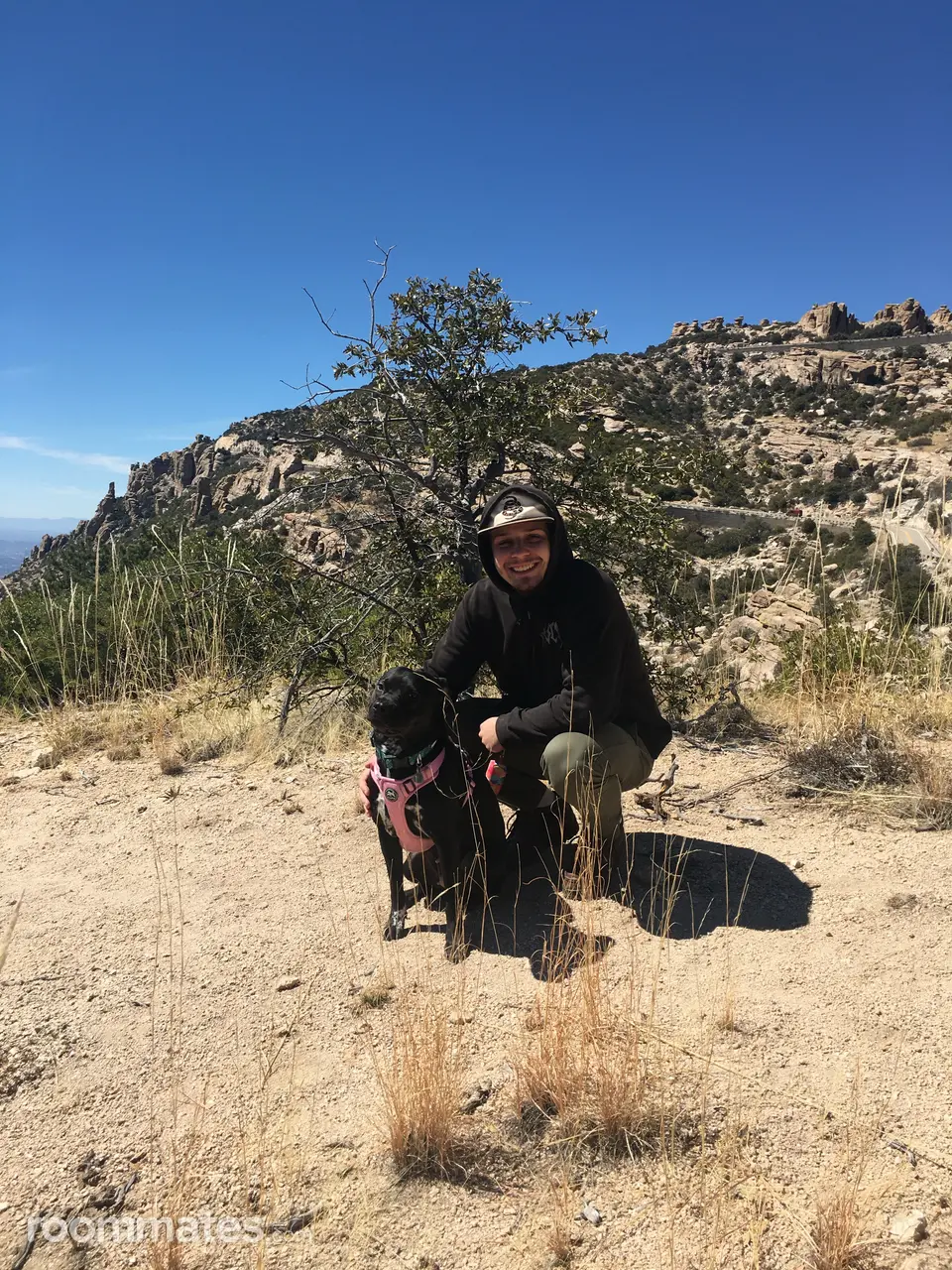 Profile photo 2 of 3