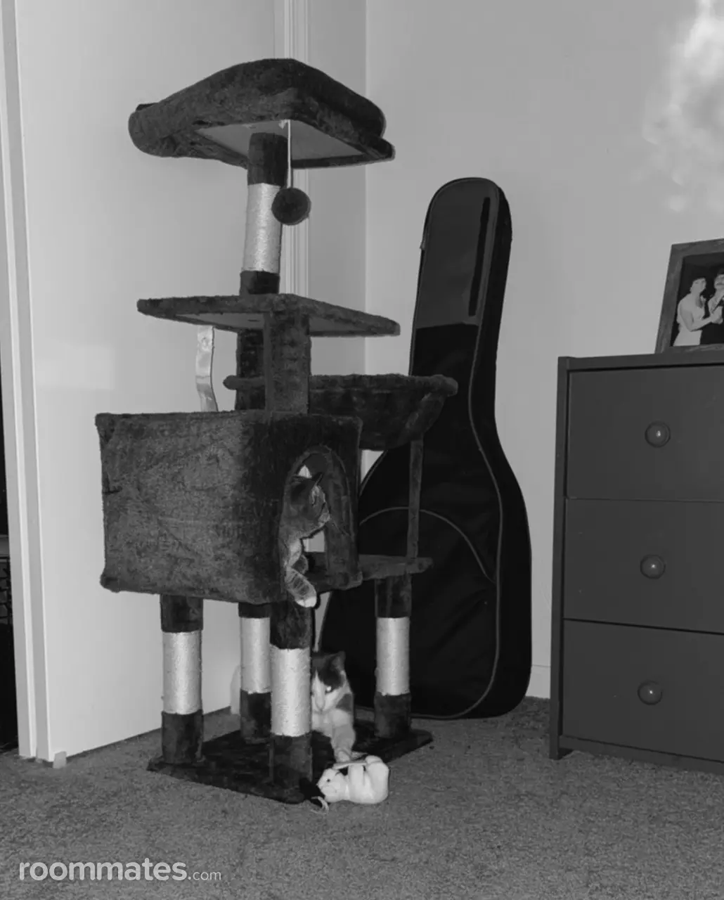 Profile photo 3 of 3