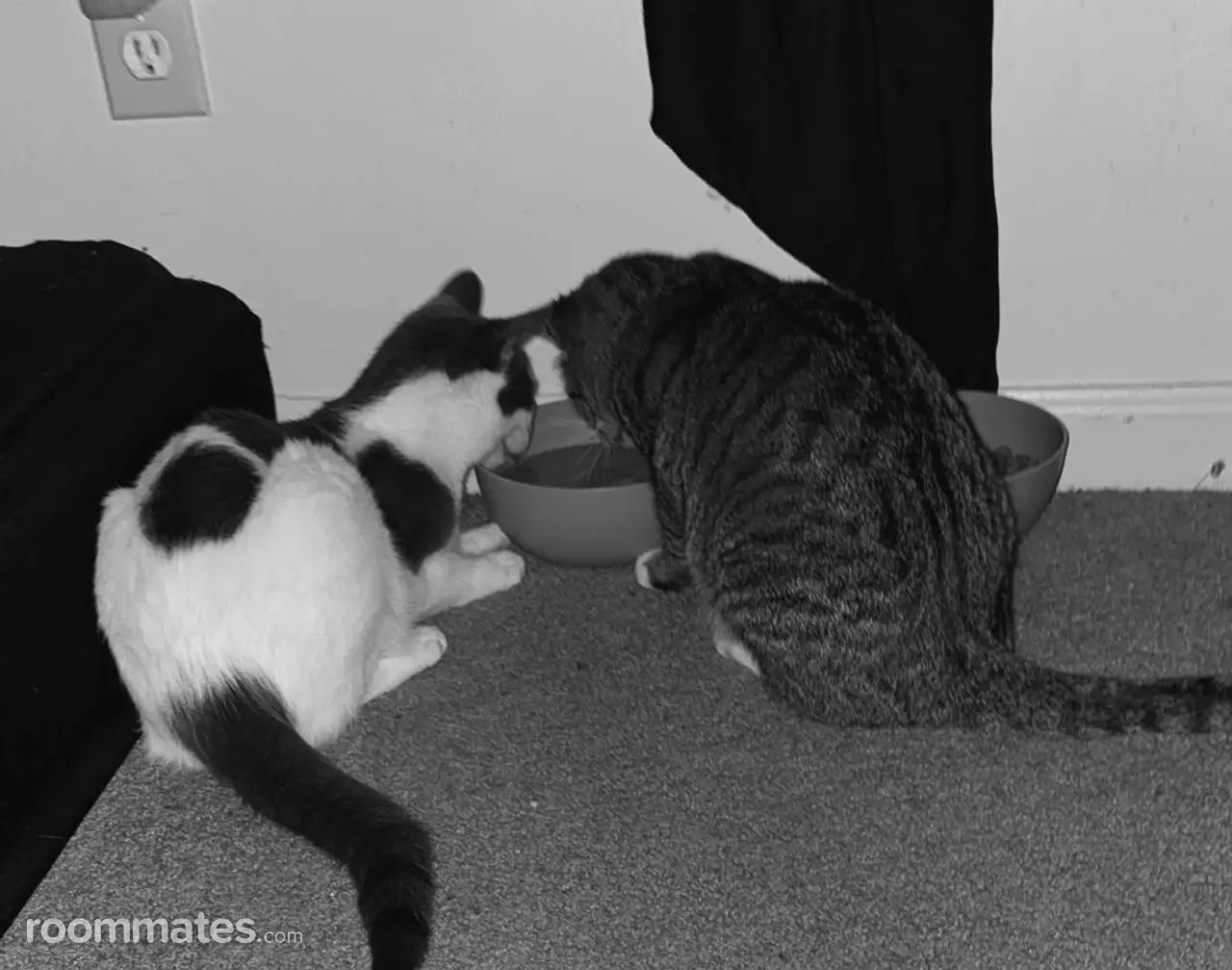 Profile photo 2 of 3