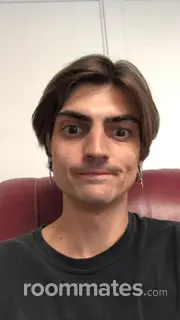 Roommate looking Houston, TX, $700