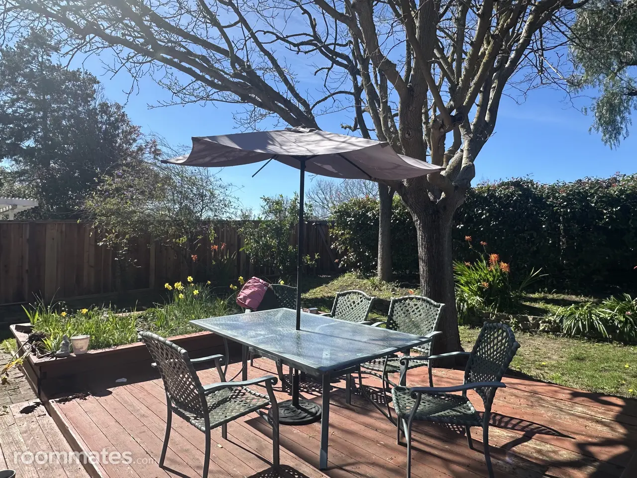 Profile photo 2 of 6