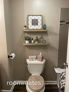 Room for rent in Des Plaines, IL $1100, townhouse