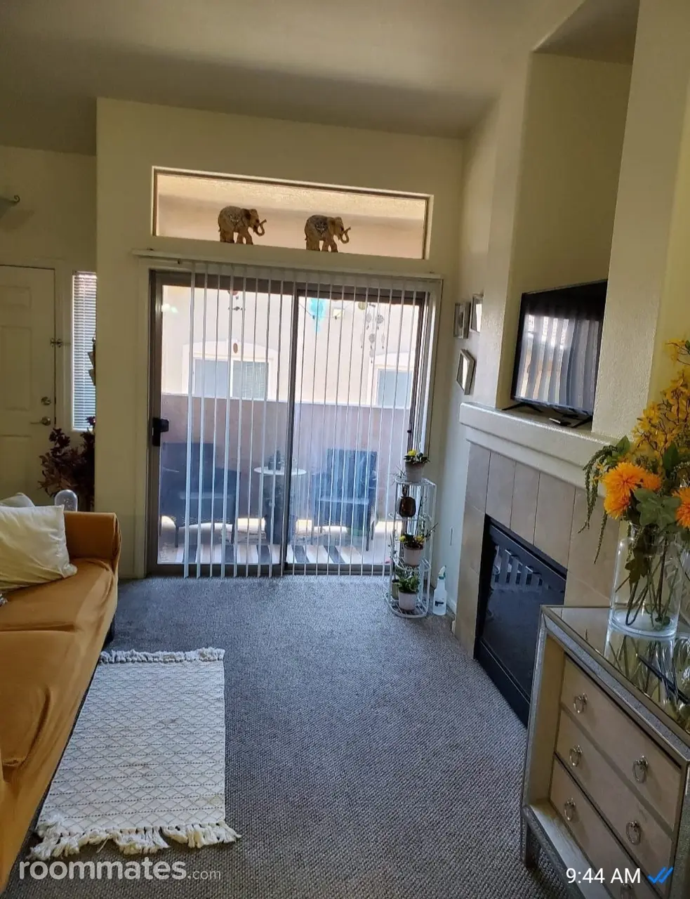 Profile photo 3 of 10