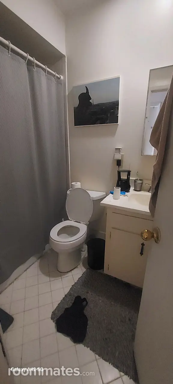 Profile photo 6 of 11