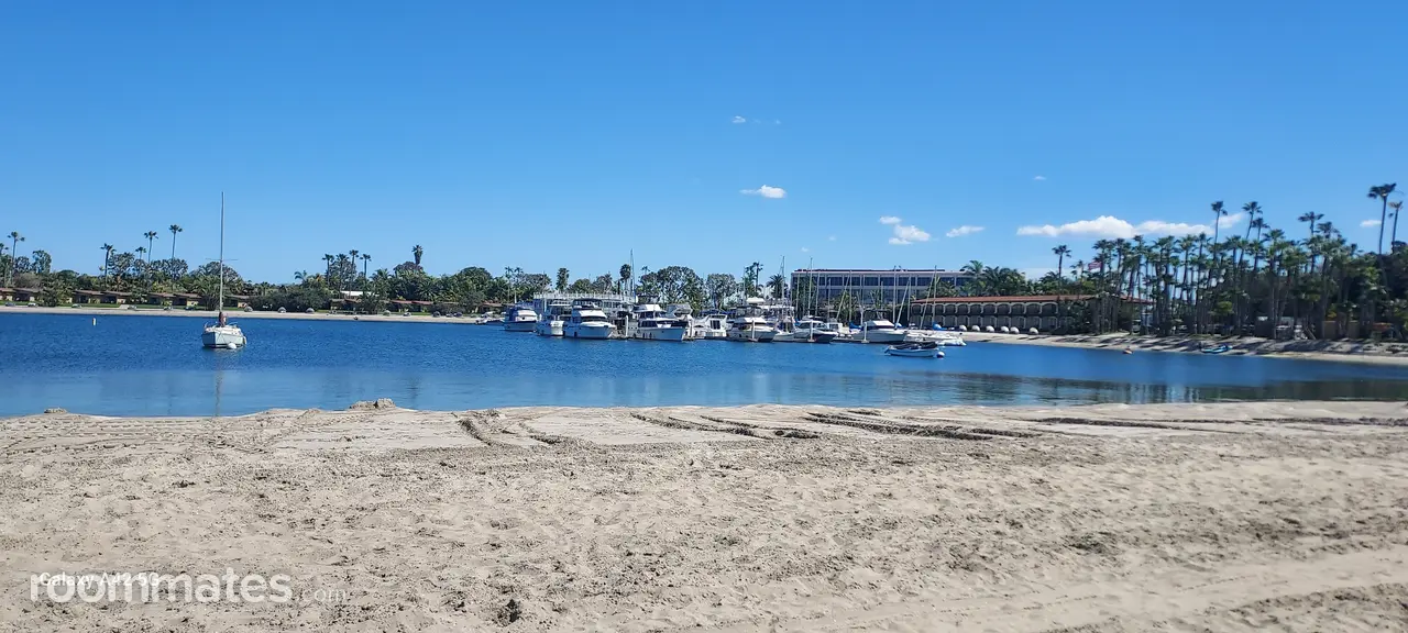 Profile photo 10 of 11