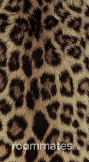 Roommate looking Herndon, VA, $1400