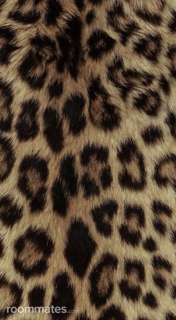 Profile photo 1 of 1