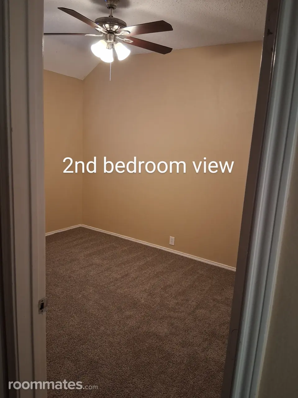 Profile photo 5 of 11