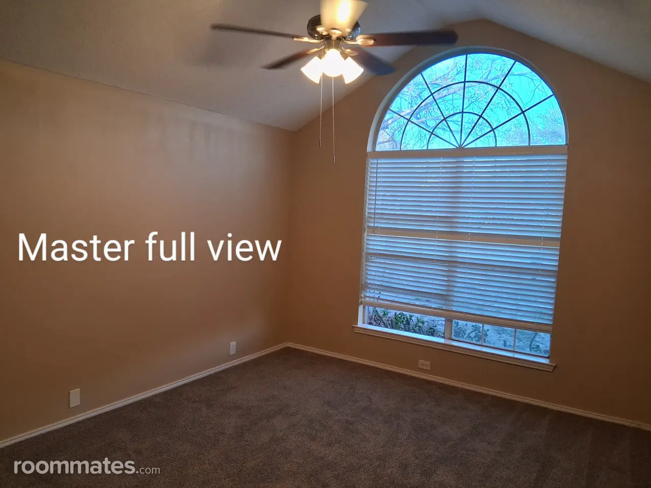 Profile photo 7 of 11