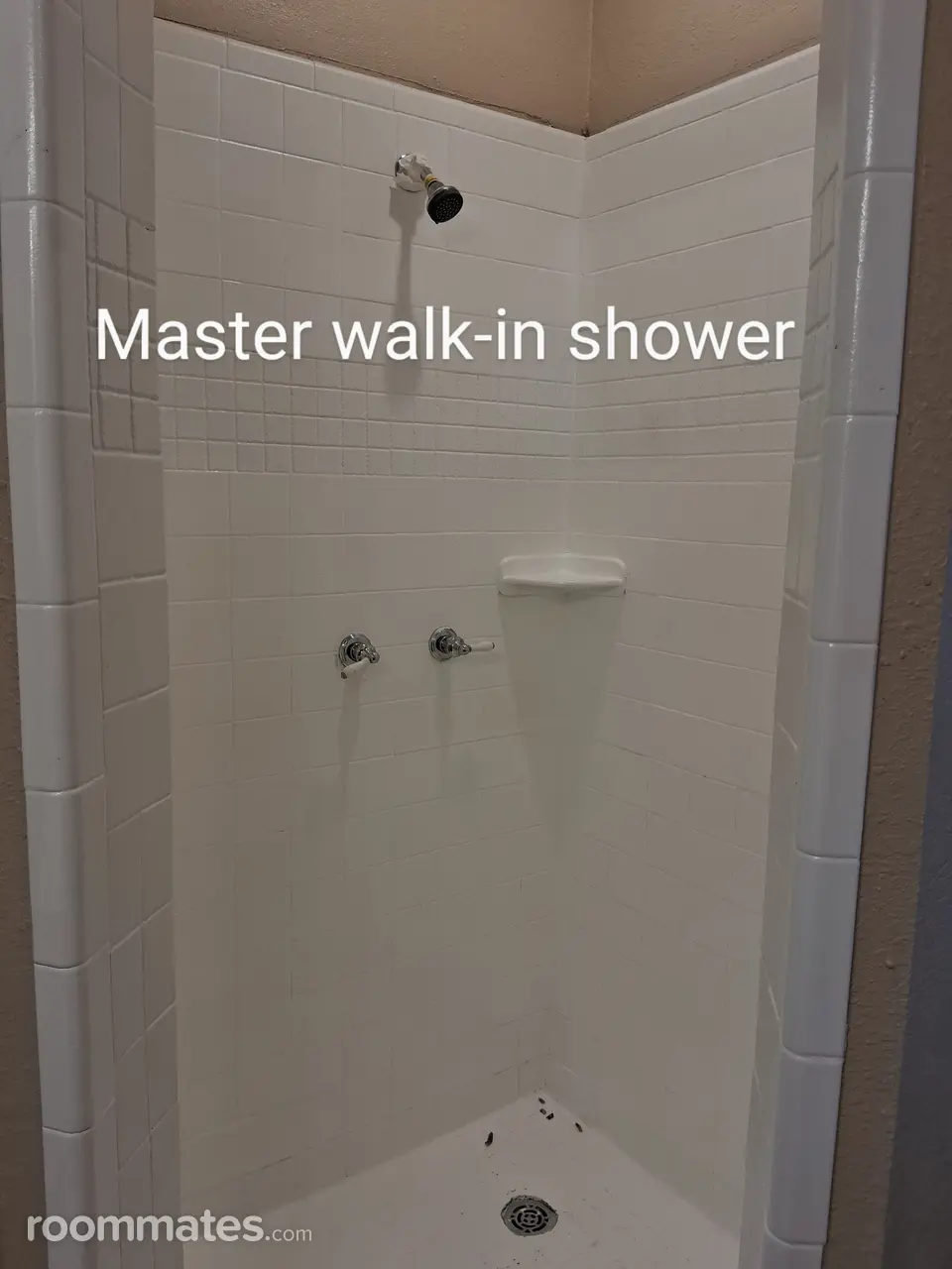 Profile photo 10 of 11