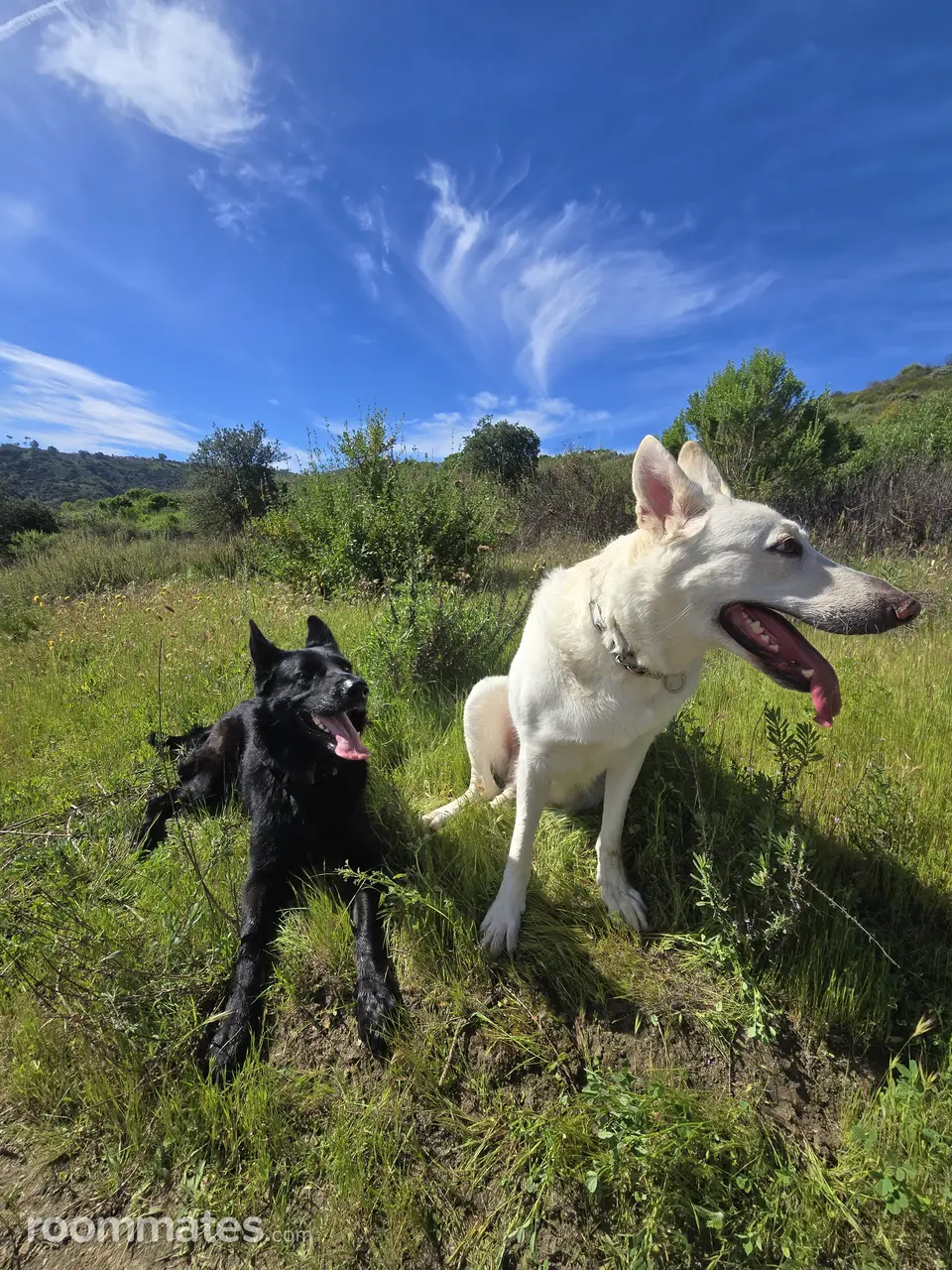 Profile photo 2 of 5