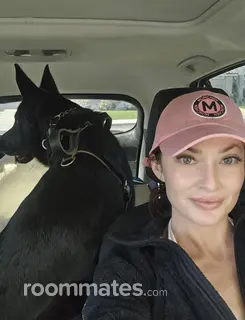 Roommate looking Lake Forest, CA, $1500