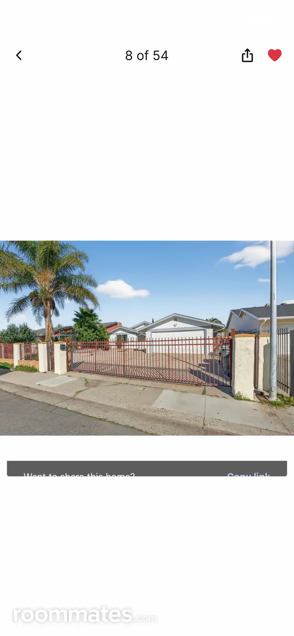 Profile photo 8 of 11