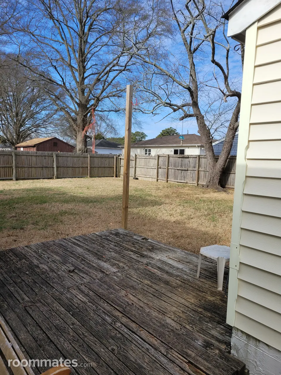 Profile photo 4 of 11