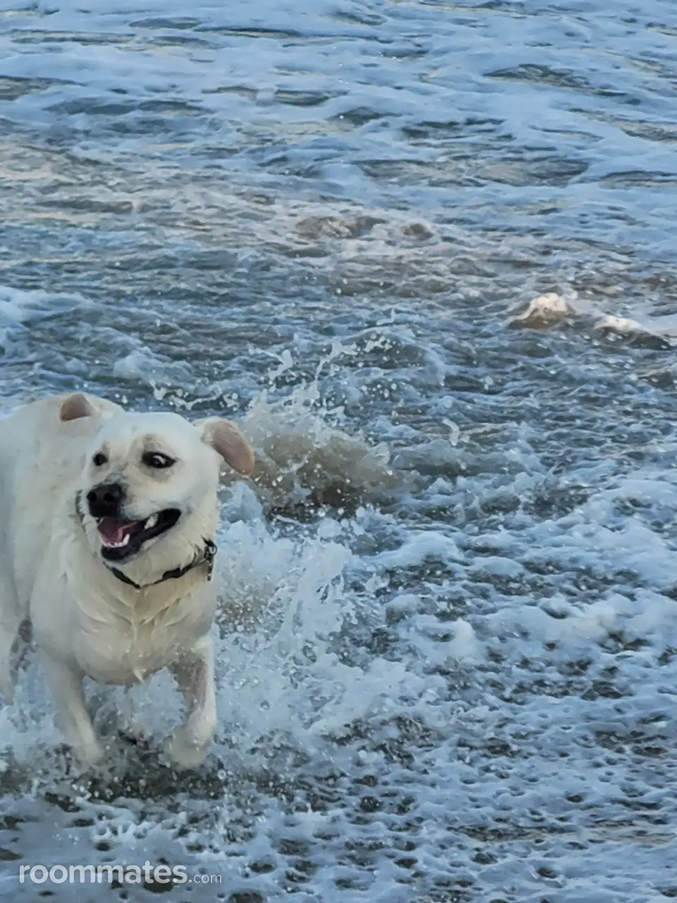 Profile photo 6 of 11