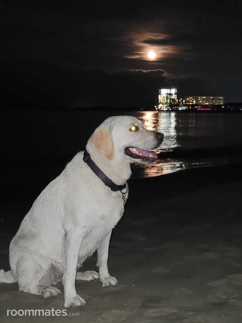 Profile photo 8 of 11