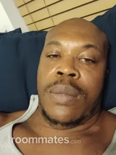 Roommate looking Apopka, FL, $800