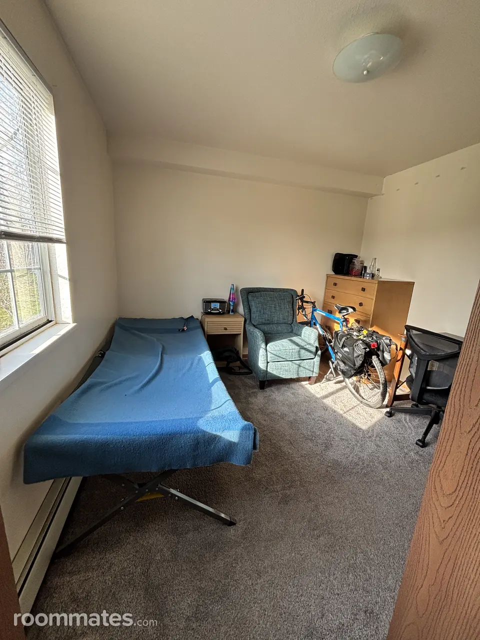 Profile photo 2 of 13