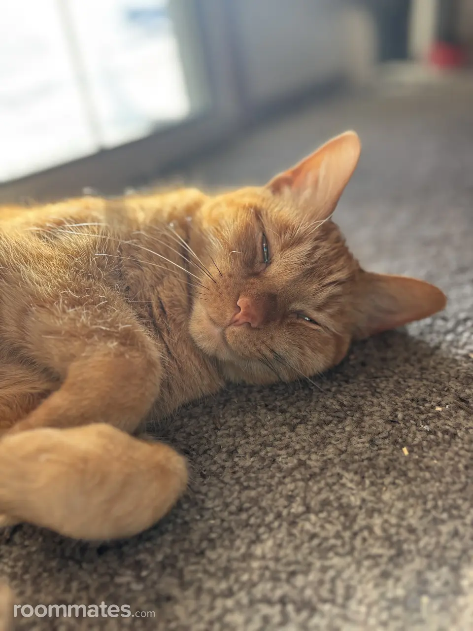 Profile photo 12 of 13