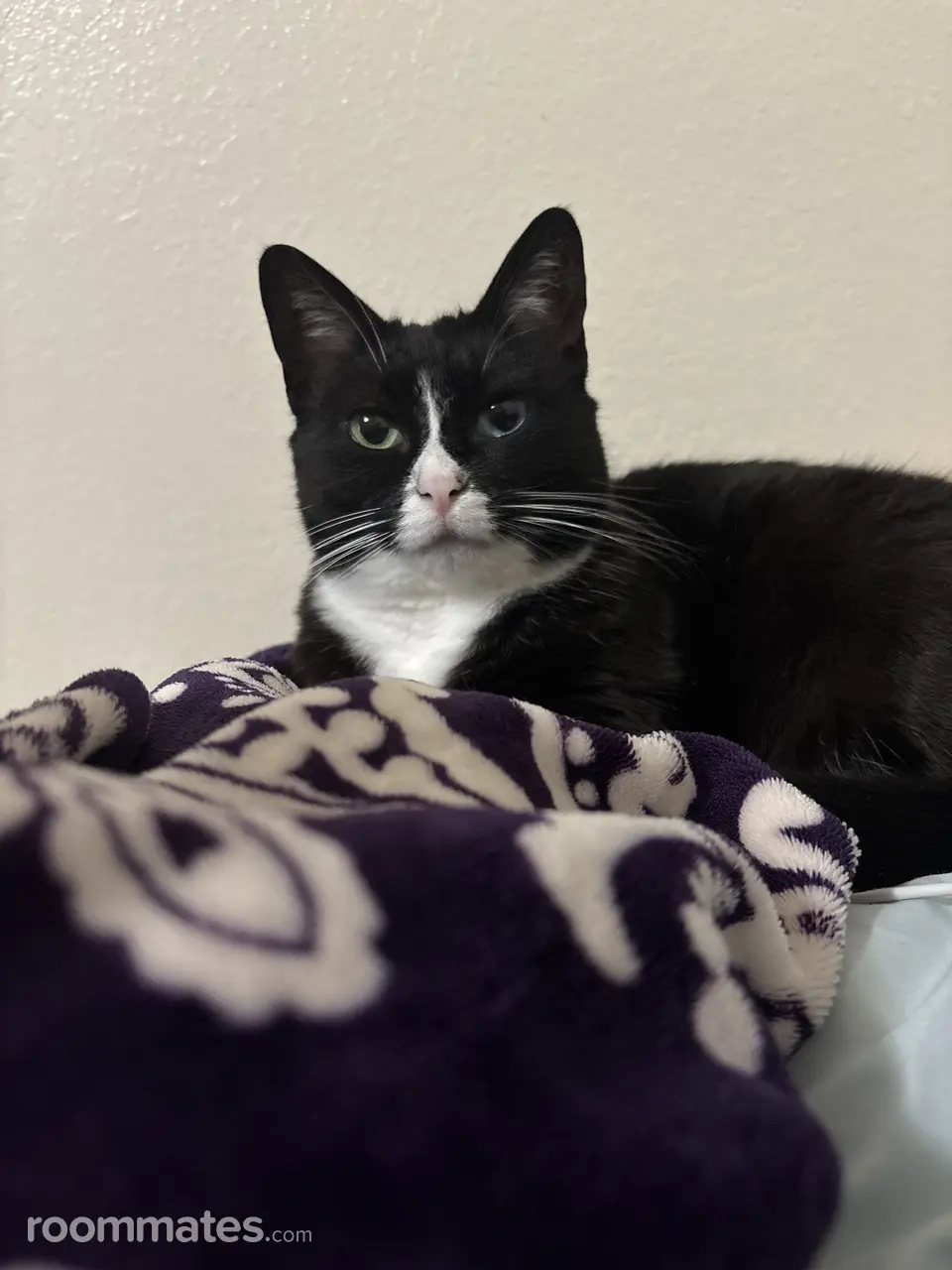 Profile photo 11 of 13