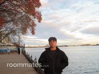 Roommate looking Reading, PA, $800