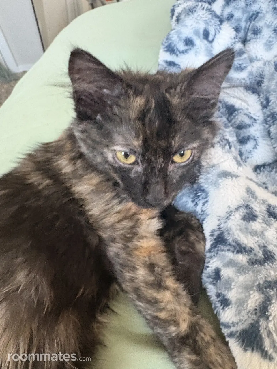 Profile photo 2 of 5