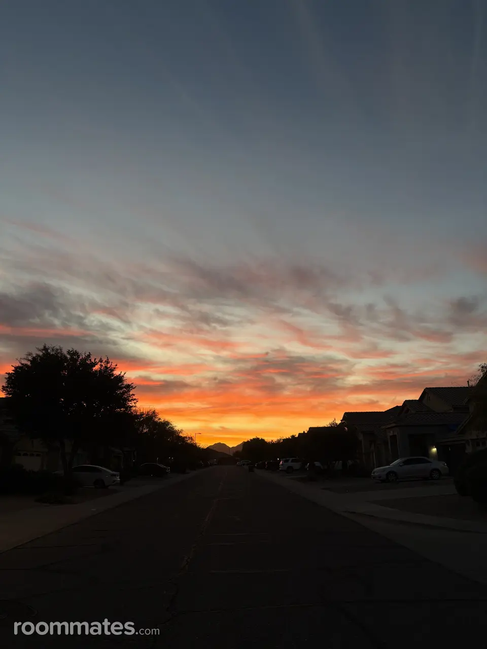 Profile photo 5 of 5