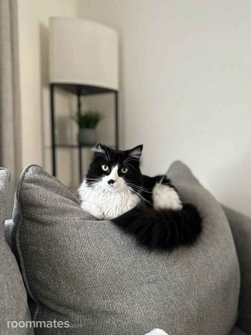 Profile photo 8 of 9