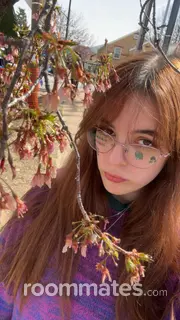 Roommate looking Saint Charles, MO, $1000