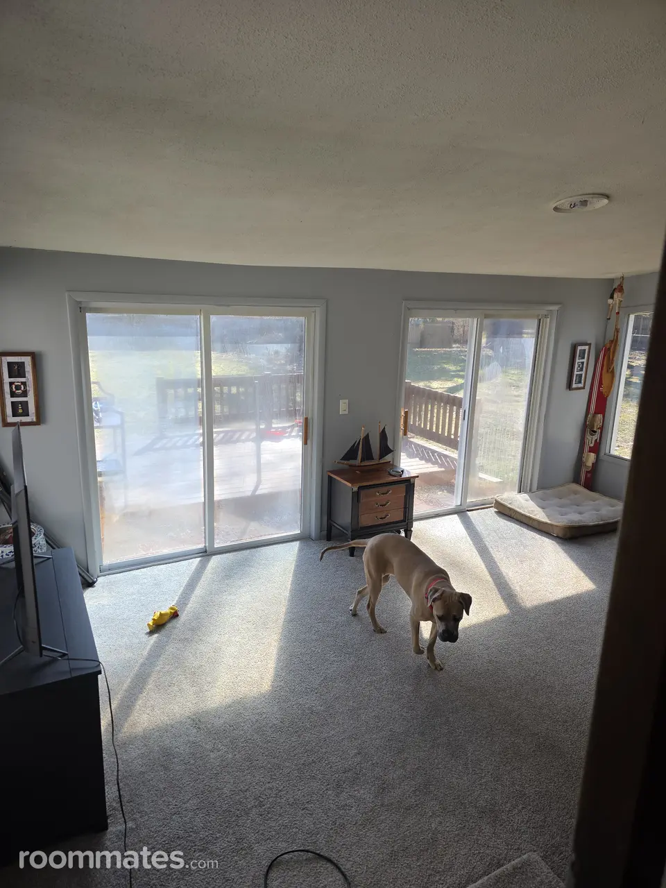 Profile photo 9 of 11