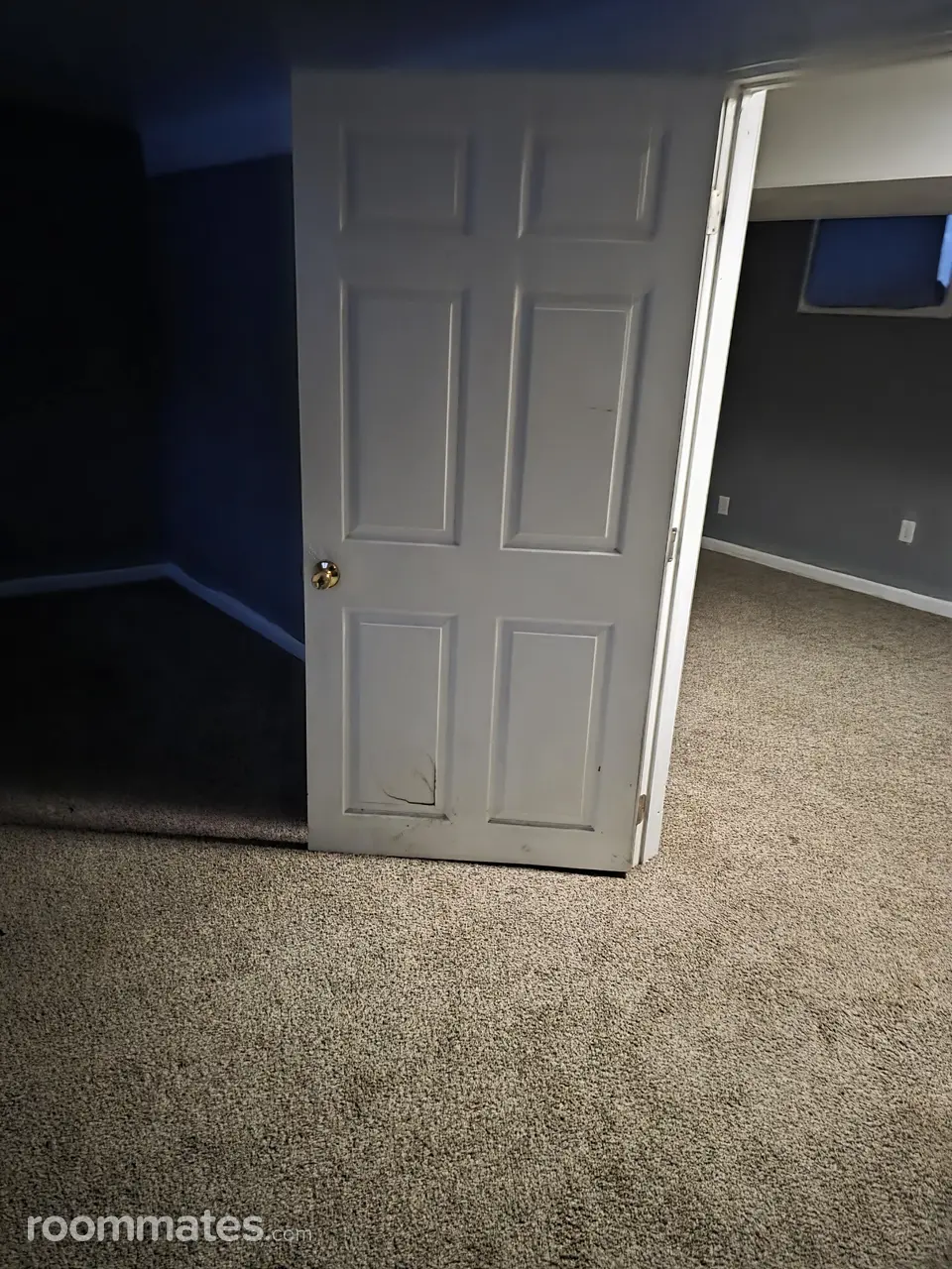 Profile photo 2 of 11