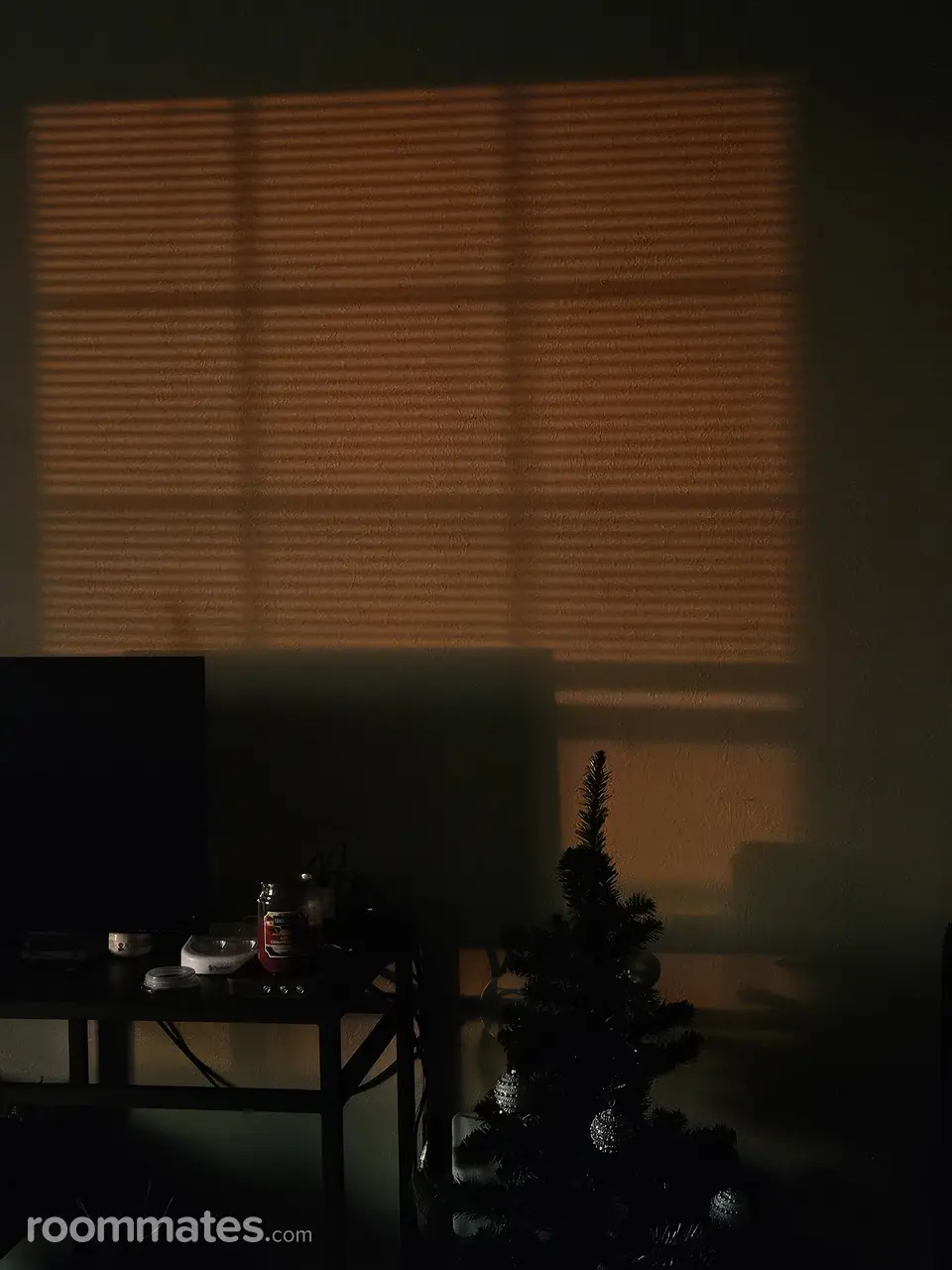 Profile photo 2 of 6