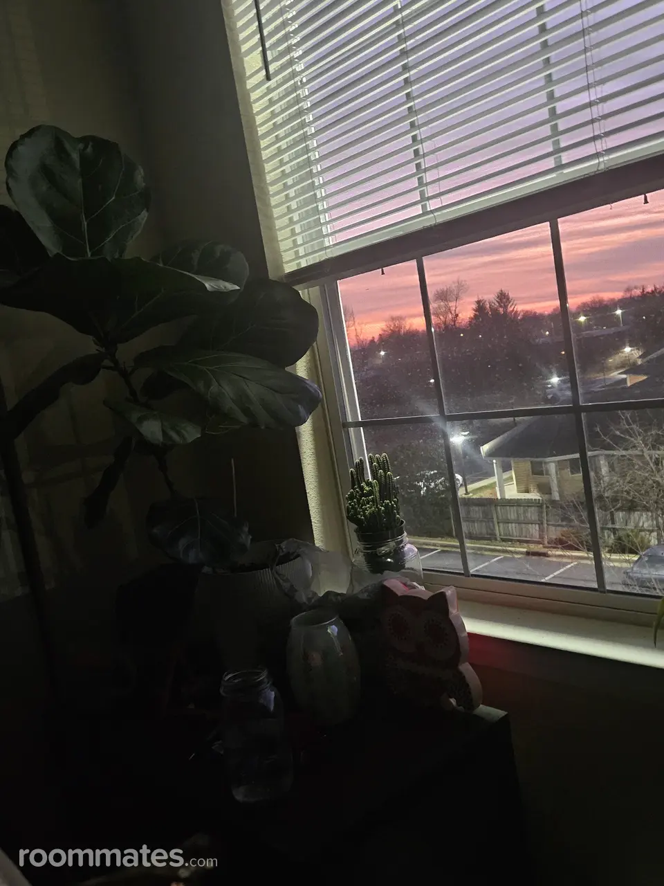 Profile photo 5 of 6