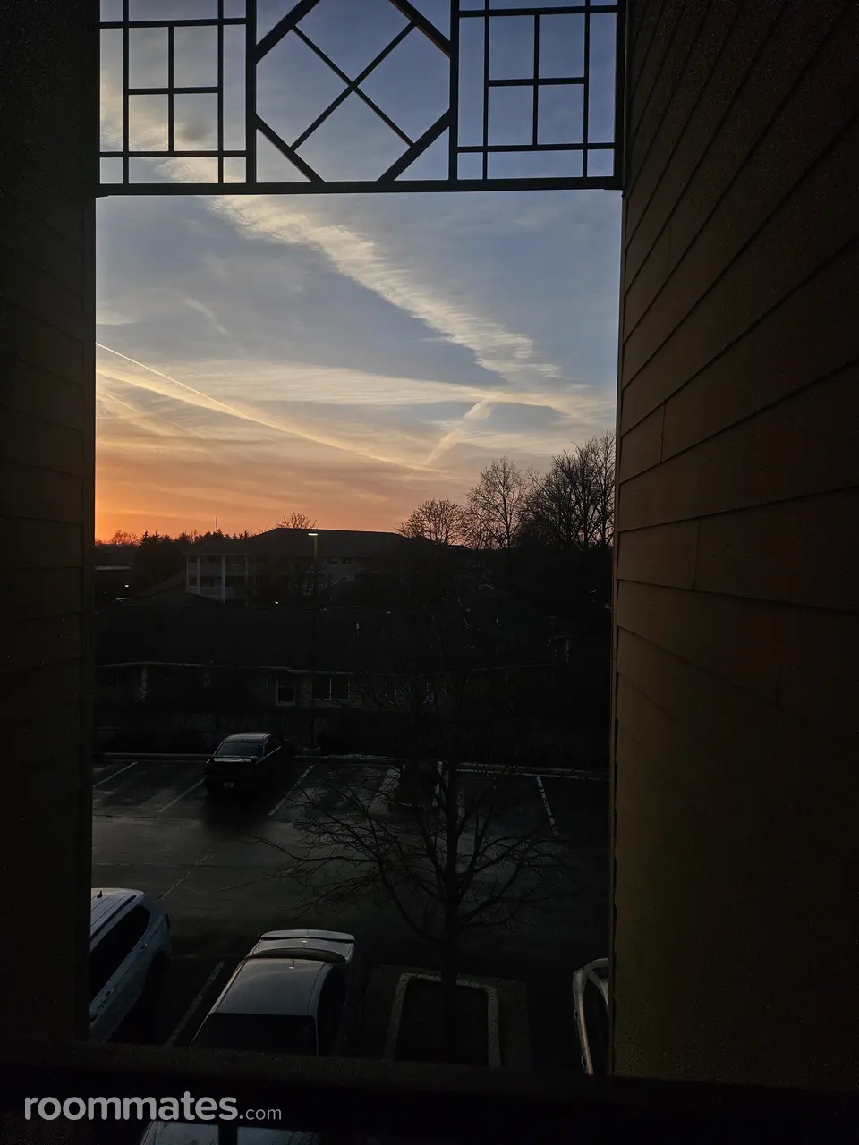 Profile photo 4 of 6