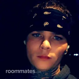 Roommate looking Luzerne, PA, $600