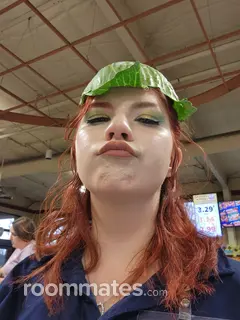 Roommate looking Tazewell, TN, $800