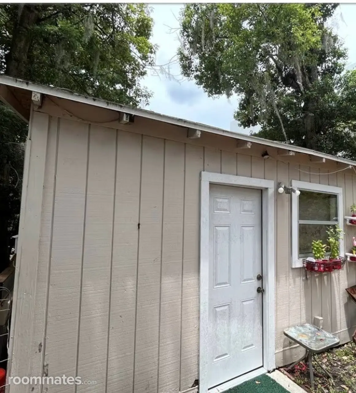 Profile photo 5 of 6