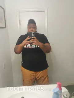 Roommate looking Tampa, FL, $800