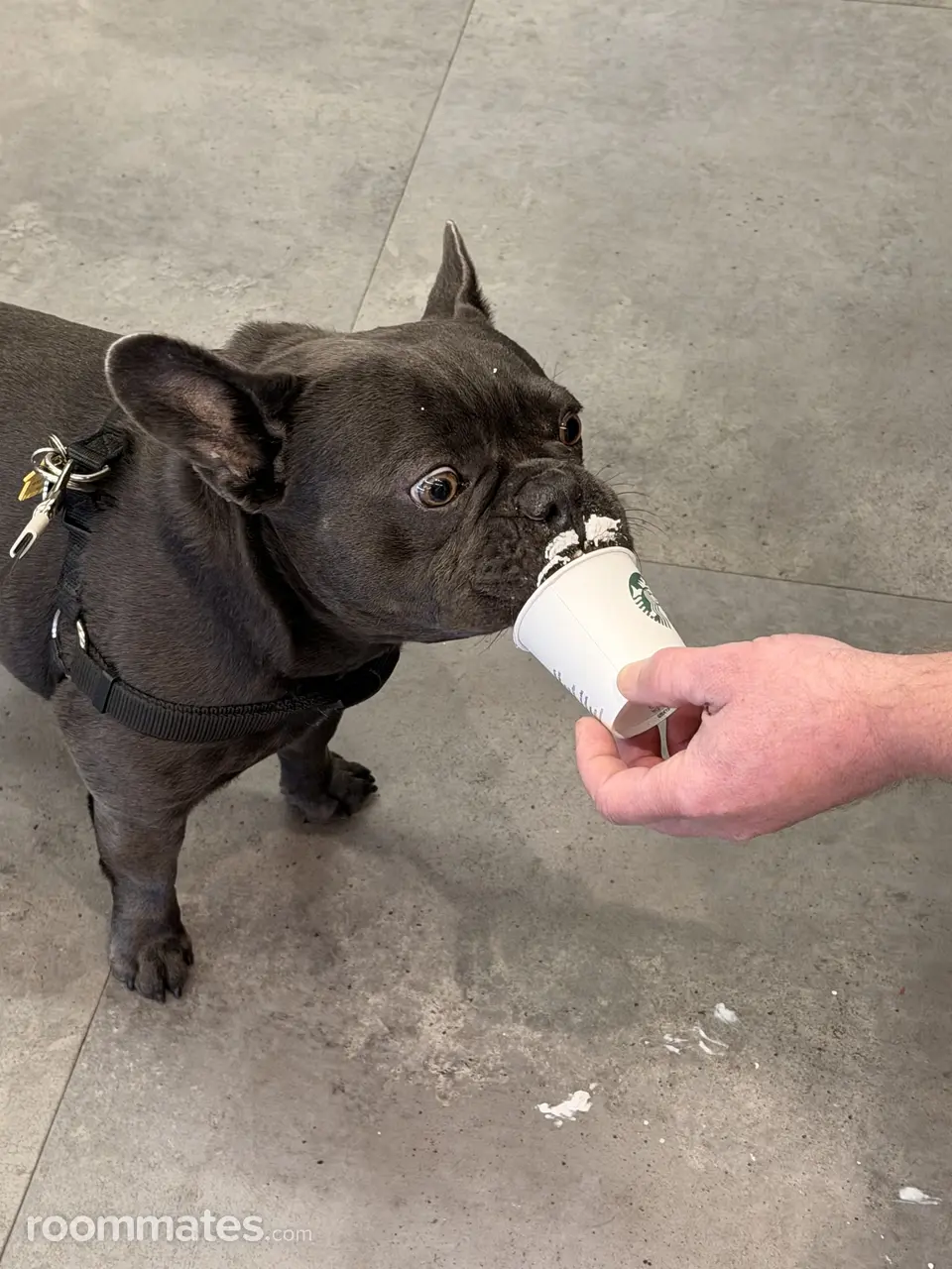 Profile photo 6 of 6